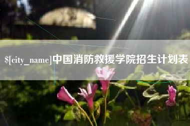临邑中国消防救援学院招生计划表