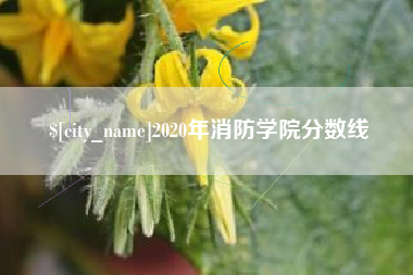 临邑2020年消防学院分数线