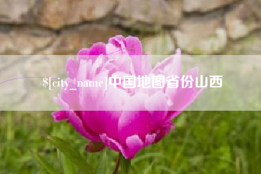 临邑中国地图省份山西