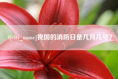 临邑我国的消防日是几月几号？