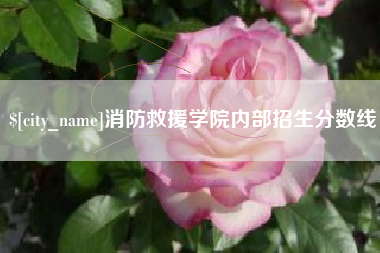临邑消防救援学院内部招生分数线