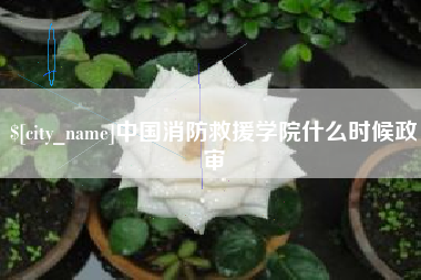 临邑中国消防救援学院什么时候政审