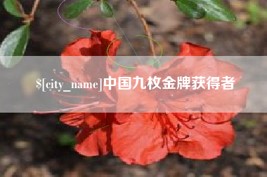 临邑中国九枚金牌获得者