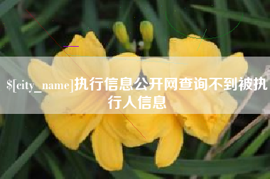 临邑执行信息公开网查询不到被执行人信息