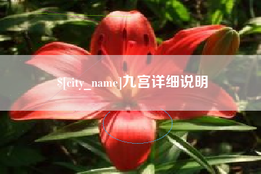 临邑九宫详细说明