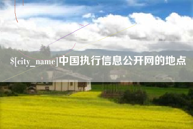 临邑中国执行信息公开网的地点