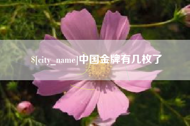 临邑中国金牌有几枚了