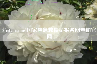 临邑国家应急救援员报名网查询官网