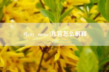 临邑九宫怎么解释
