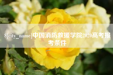 临邑中国消防救援学院2020高考报考条件