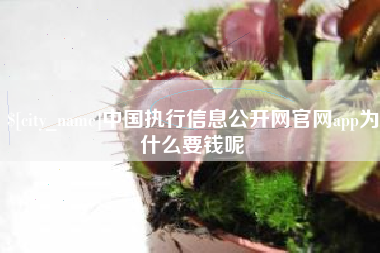 临邑中国执行信息公开网官网app为什么要钱呢
