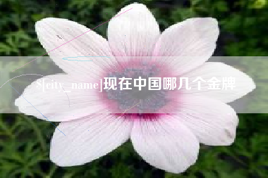临邑现在中国哪几个金牌