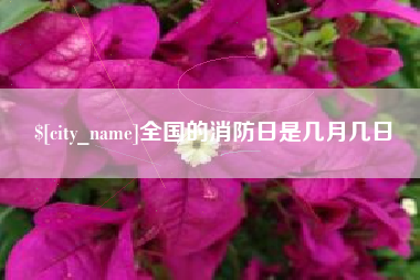 临邑全国的消防日是几月几日