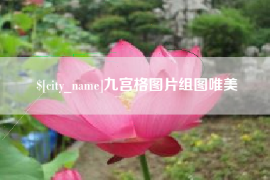 临邑九宫格图片组图唯美