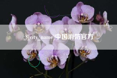 临邑中国消防官方