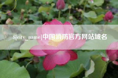 临邑中国消防官方网站域名