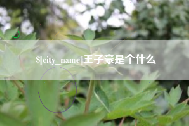 临邑王子豪是个什么