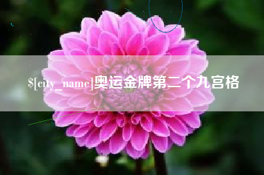 临邑奥运金牌第二个九宫格