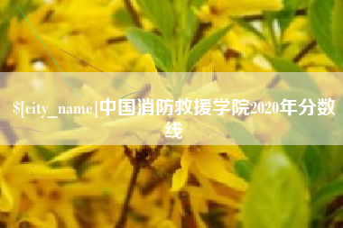 临邑中国消防救援学院2020年分数线