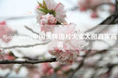 临邑中国金牌图片大全大图真实高清