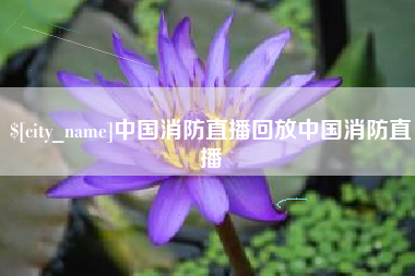 临邑中国消防直播回放中国消防直播