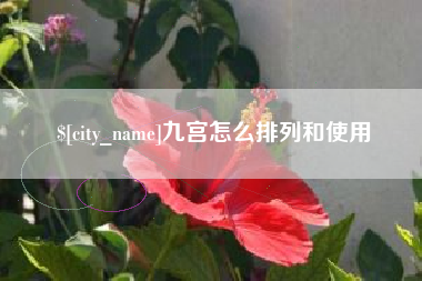 临邑九宫怎么排列和使用