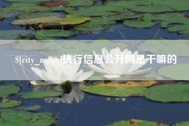 临邑执行信息公开网是干嘛的