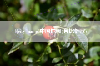 临邑中国地图(含比例尺)