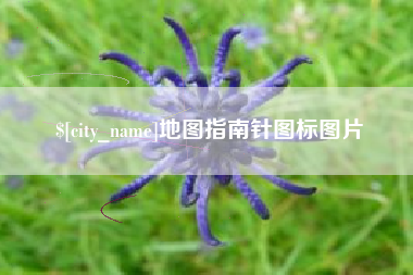 临邑地图指南针图标图片