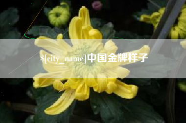 临邑中国金牌样子