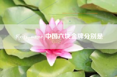 临邑中国六块金牌分别是