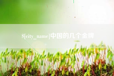 临邑中国的几个金牌