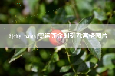 临邑奥运夺金时刻九宫格图片