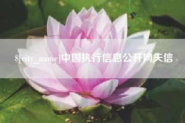 临邑中国执行信息公开网失信