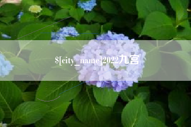 临邑2022九宫