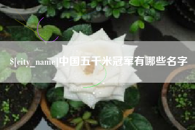 临邑中国五千米冠军有哪些名字