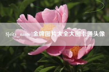 临邑金牌图片大全大图卡通头像