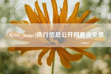 临邑执行信息公开网查询免费
