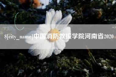 临邑中国消防救援学院河南省2020
